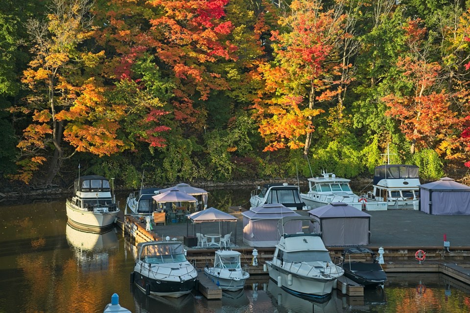 16 Mile Creek Fall Colour 2